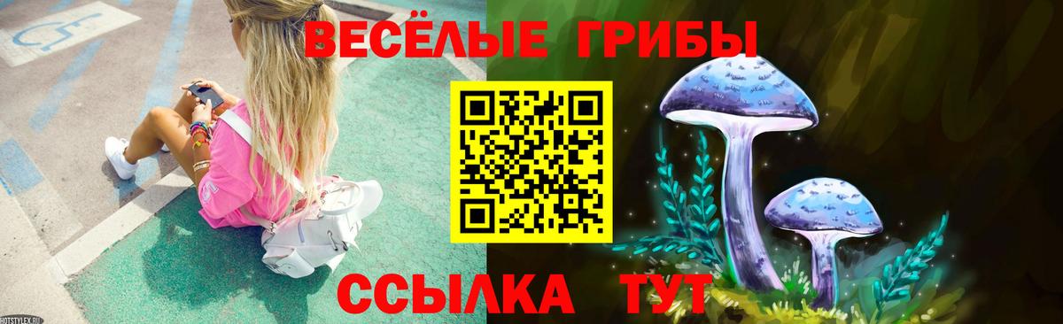 Галлюциногенные грибы GOLDEN TEACHER  Вход с VPN  Джанкой  Галлюциногенные грибы MAGIC MUSHROOMS 